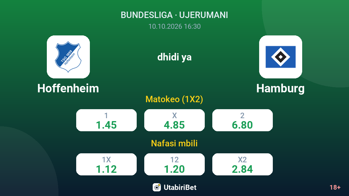 Hoffenheim vs Hamburg — odds
