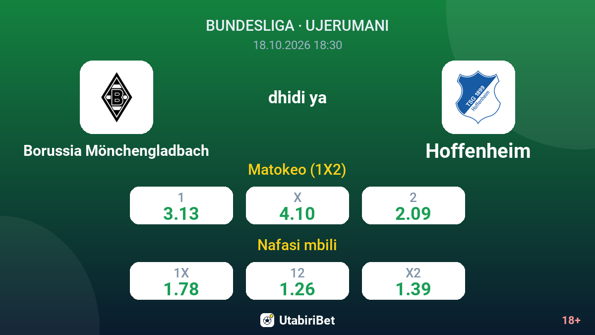Borussia Mönchengladbach vs Hoffenheim — odds