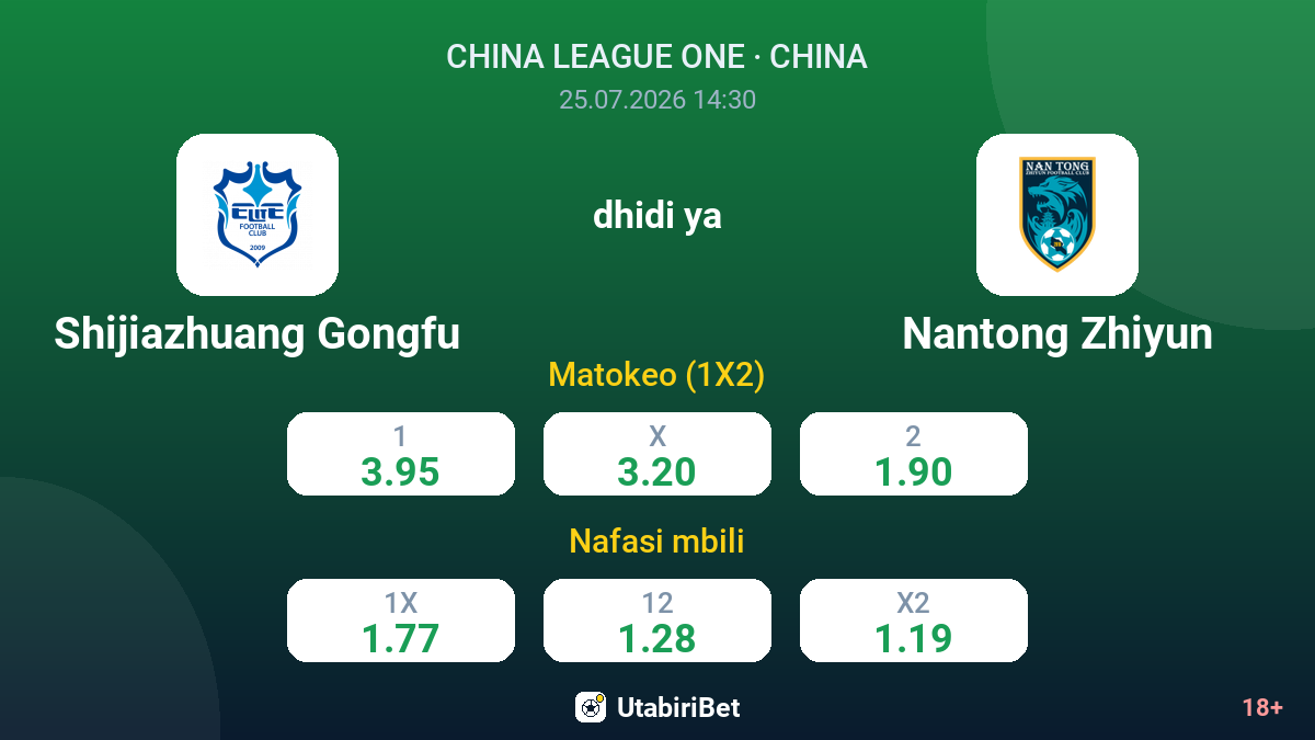 Shijiazhuang Gongfu vs Nantong Zhiyun — odds