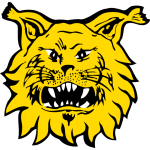 Tampere Ilves 2 nembo